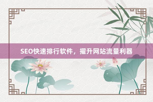 SEO快速排行软件，擢升网站流量利器