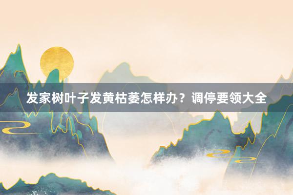 发家树叶子发黄枯萎怎样办？调停要领大全
