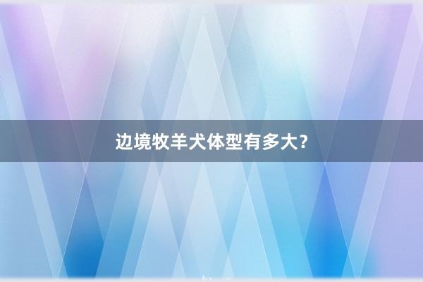 边境牧羊犬体型有多大？