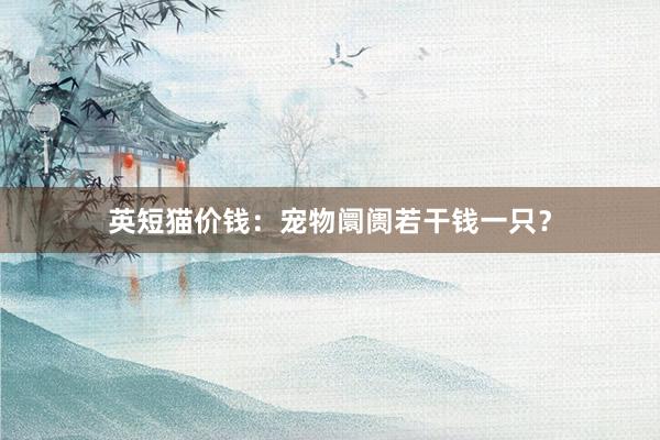 英短猫价钱：宠物阛阓若干钱一只？